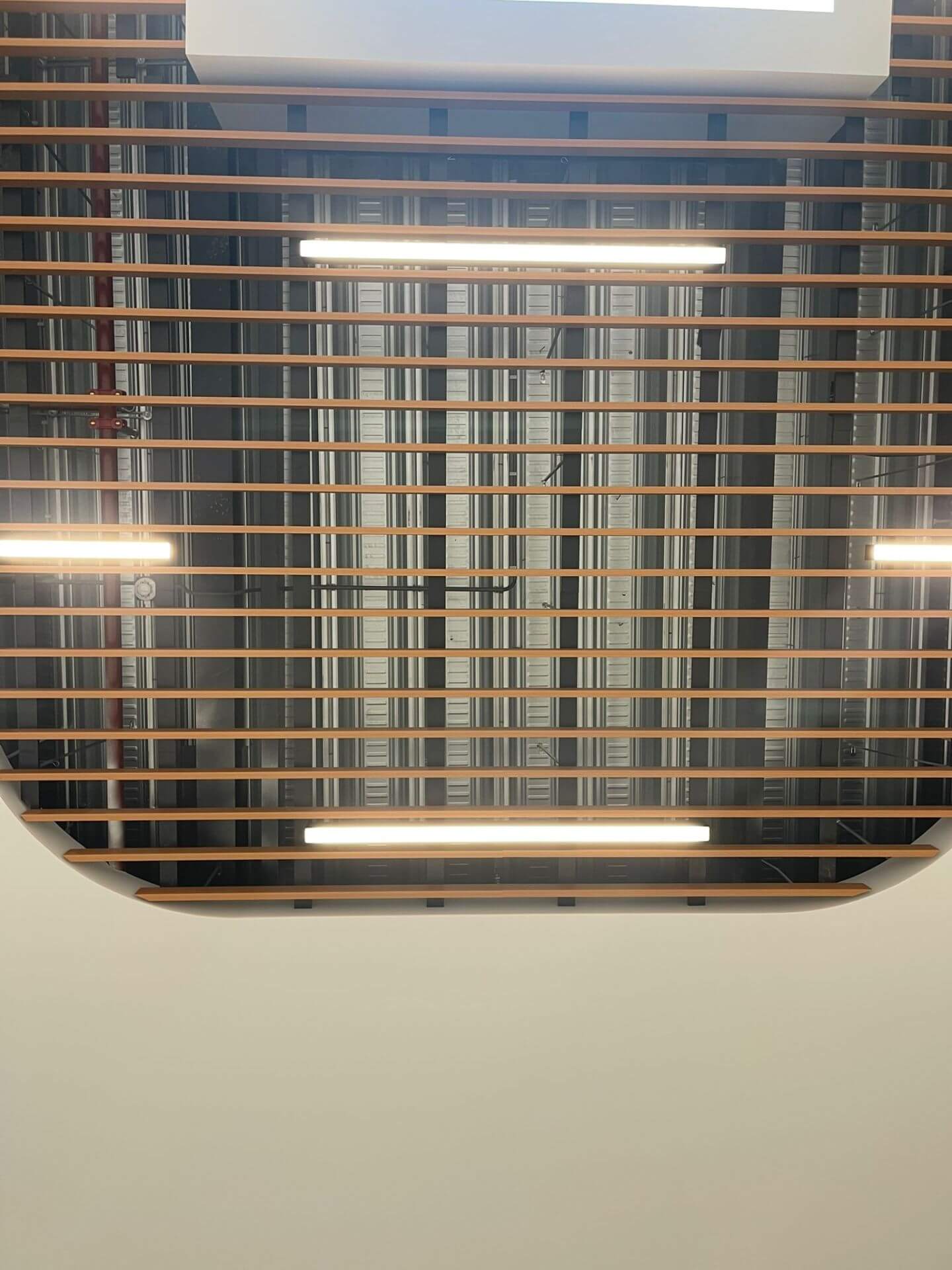 Wiggers Van Ginkel Plafond 2 Wiggers Van Ginkel Plafond 2