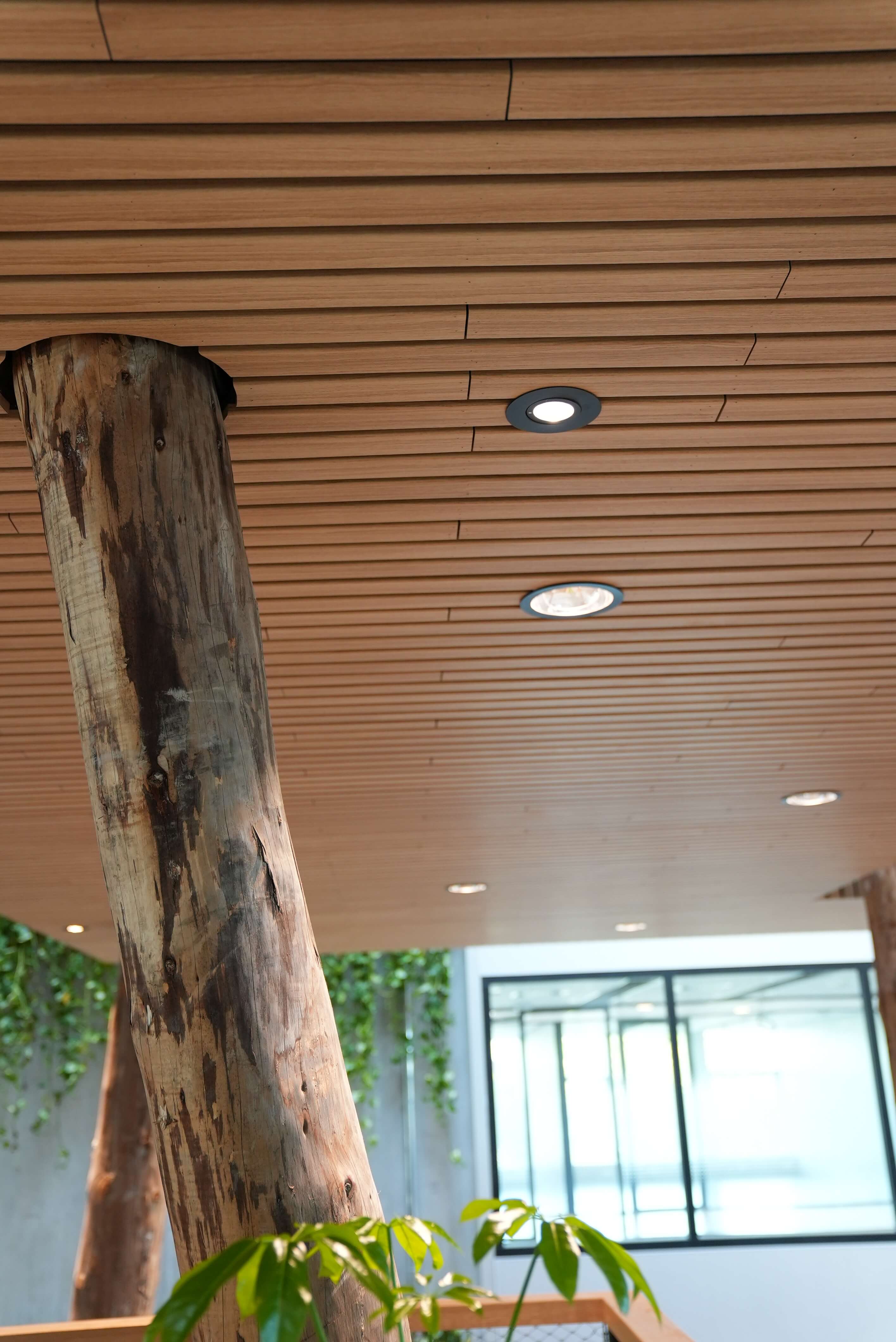 Erasmus Universiteit Rotterdam plafondframes Erasmus Universiteit Rotterdam plafondframes