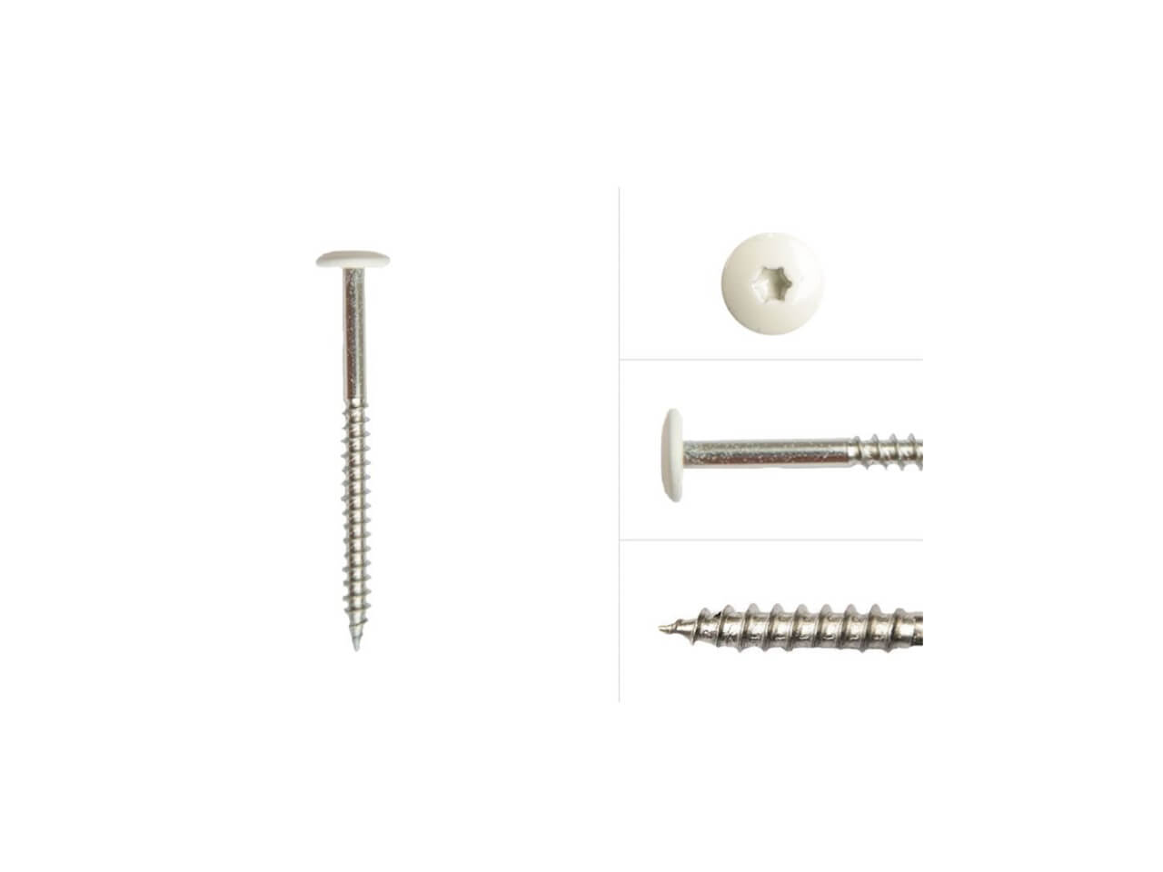 TBH 011 Colored Torx Screws 4,8 x 38 mm TBH 011 Colored Torx Screws 4,8 x 38 mm