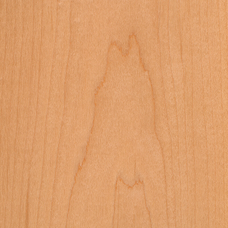 Maple veneer